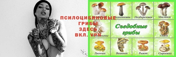 не бодяженный Ельня