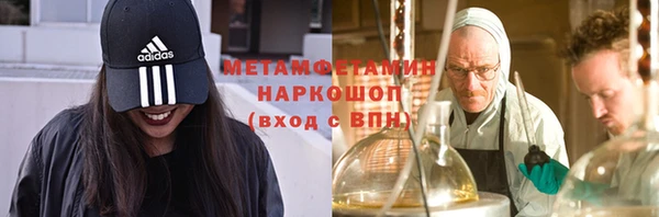 сатива Елабуга