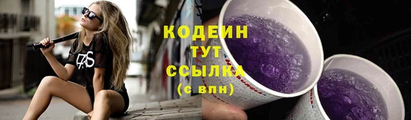 сатива Елабуга