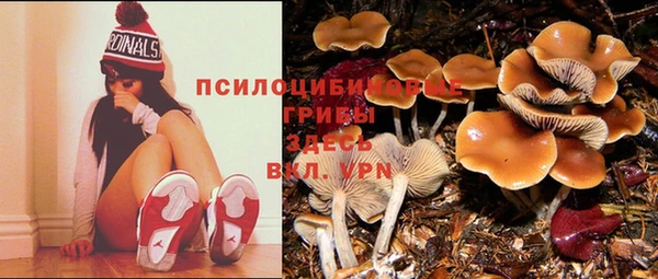 мет Кедровый