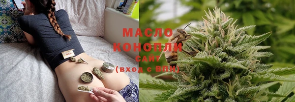 сатива Елабуга