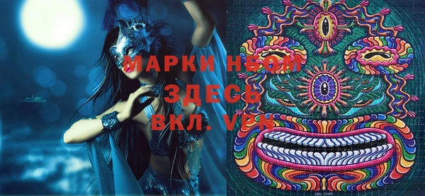 сатива Елабуга