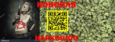 прущие грибы Пугачёв
