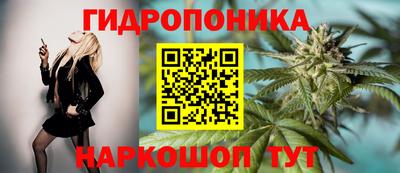 прущие грибы Пугачёв