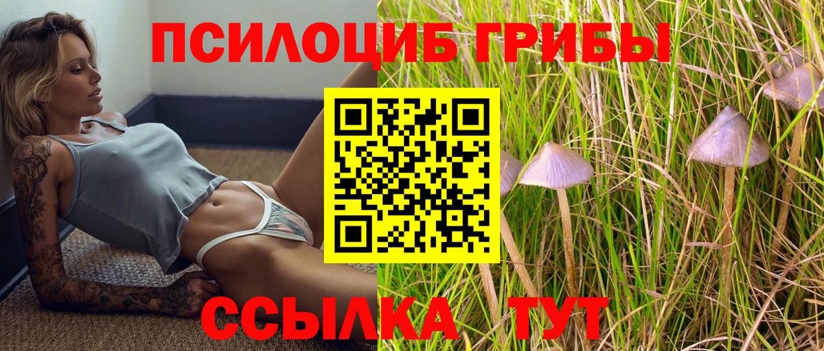 Псилоцибиновые грибы мухоморы Волхов