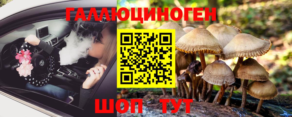 Волхов  Псилоцибиновые грибы ЛСД  Вход с VPN 