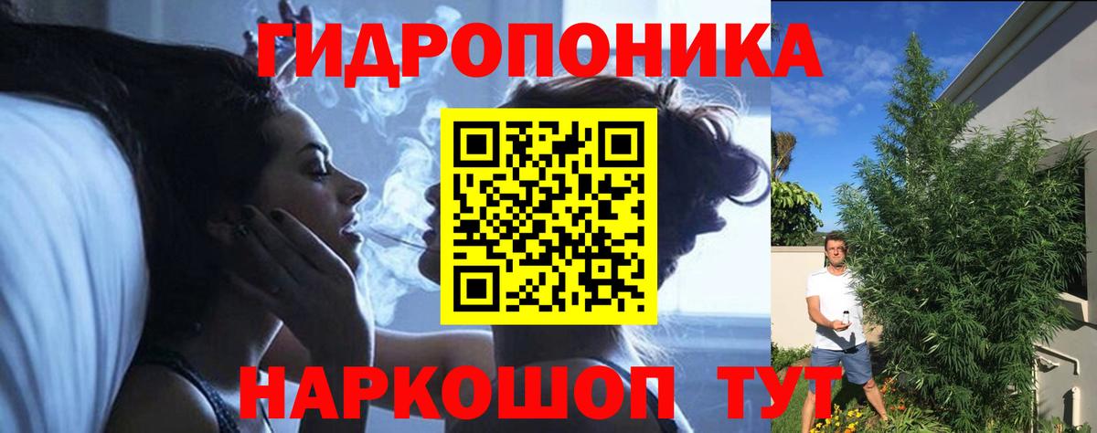 Бошки марихуана THC 21% Волхов